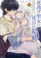 夜逃げ聖女の二度目の結婚　２　　パッケージ