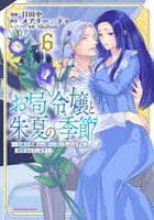 お局令嬢と朱夏の季節　～冷徹宰相様のお飾りの妻になったはずが、溺愛されています～　６　　パッケージ