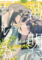 薄明に充ちる　３　　パッケージ