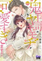 鬼上司のヤキモチが可愛すぎます！！　１１　　パッケージ