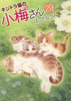 キジトラ猫の小梅さん　２９　　パッケージ