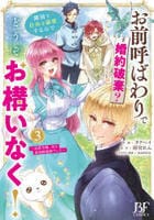 お前呼ばわりで婚約破棄？隣国で自由を謳歌するのでどうぞお構いなく！～追放令嬢、実は最強精霊師でした～　３　　パッケージ