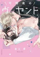 可惜夜のヴィヤンド　　パッケージ