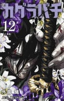 カグラバチ　１２　　パッケージ