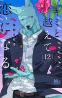 キミと越えて恋になる　１２　　パッケージ