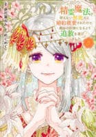 精霊魔法が使えない無能だと婚約破棄されたので、義妹の奴隷になるより追放を選びました　５　　パッケージ