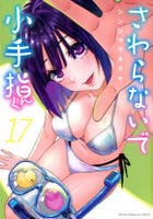 さわらないで小手指くん　１７　　パッケージ