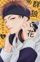 群狼に花　３　　パッケージ