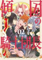 傾国の騎士団長　２　　パッケージ