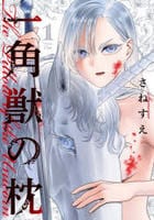 一角獣の枕　１　　パッケージ