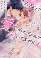 海運王の身代わり花嫁～こんなに愛されるなんて聞いてません！～　２　　パッケージ