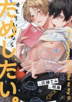 きもちいいならためしたい。　　パッケージ