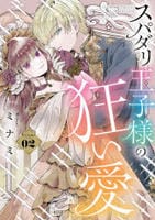 スパダリ王子様の狂い愛　２　　パッケージ