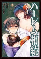 ハーレム相続　３　　パッケージ