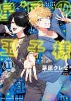 星屑の王子様　１１　　パッケージ