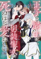 王子と騎士は男装聖女が死ぬほど愛おしい　３　　パッケージ
