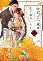 岩肌の花嫁は愛で溶かされる　３　　パッケージ