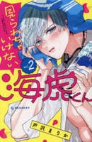 見られちゃいけない海虎くん　２　　パッケージ