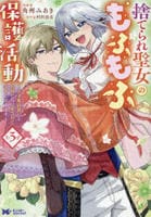 捨てられ聖女のもふもふ保護活動～天才魔法使いと幻獣たちに愛されて幸せになります～　３　　パッケージ
