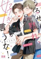 うるせー黙れ、好きとか言うな！　　パッケージ