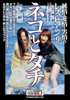 名作　ネコとタチ　純情・愛情・劣情のレズビアン全９名　　DVD　パッケージ