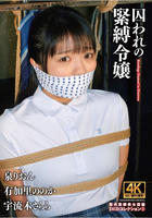 囚われの緊縛令嬢　ＤＩＤコレクション　３　　DVD　パッケージ
