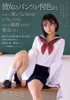 シュレティンガーのパンツ　独身化学教師と女生徒のスカートの中　　DVD　パッケージ