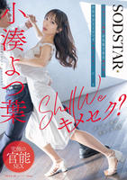 Ｓｈａｌｌ　ｗｅ　キメセク？社交ダンス講師が生徒である妻子持ち中年サラリーマンと不倫ＳＥＸグミにハマる　小湊よつ葉　　DVD　パッケージ