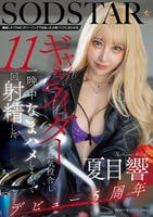 離婚したてのぼくがツーリングで出会った大型バイクにまたがるギャルライダーと意気投合し一晩中なまハメしまくって１１回射精した　夏目響　　DVD　パッケージ