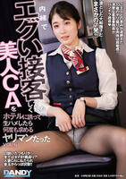 内緒でエグい接客してくれた美人ＣＡをホテルに誘って生ハメしたら何度も求めるヤリマンだった　ＶＯＬ．６　　DVD　パッケージ