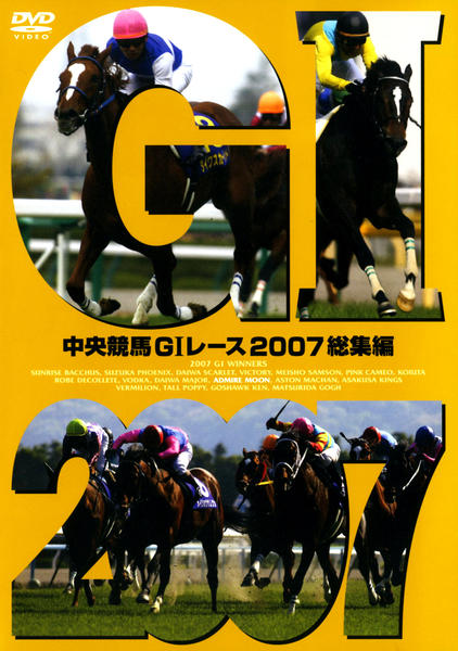 ⭐︎ユウ⭐︎中京競馬 GIレース 総集編 DVDセット DVD「中央競馬GⅠレース 2007総集編 ＜HDDVDツイン
