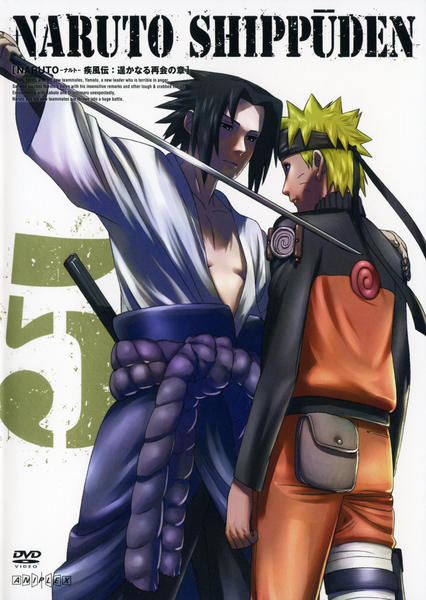 NARUTO 疾風伝 DVD ナルトとサスケの章 NARUTO-ナルト- 疾風伝 ナルトとサスケの章 DVD 2枚
