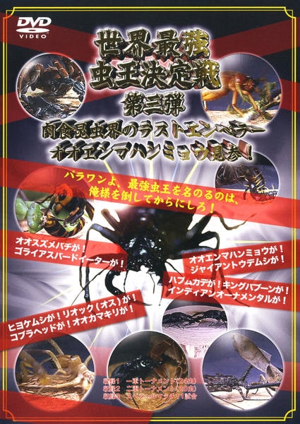DVD「世界最強虫王決定戦 第三弾 肉食昆虫界のラストエンペラー
