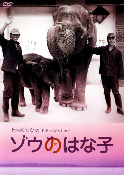 DVD「千の風になってドラマスペシャル ゾウのはな子」作品詳細 - GEO