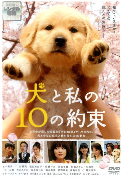 犬と私の10の約束のジャケット写真