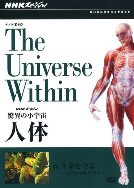 NHKスペシャル 驚異の小宇宙 人体 DVD-BOX〈6枚組〉 Amazon.co.jp: NHKスペシャル 驚異の小宇宙 人体 DVD-BOX : DVD