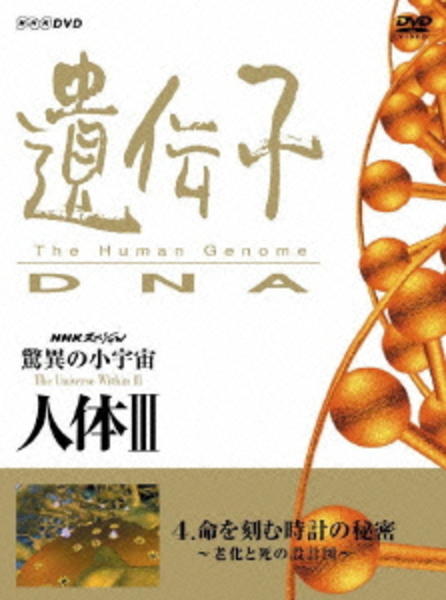 DVD「NHKスペシャル 驚異の小宇宙 人体Ⅲ 遺伝子・DNA 第4集 命