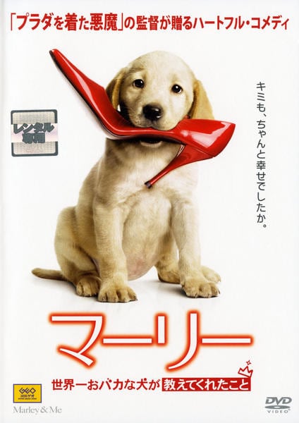 マーリー 世界一おバカな犬が教えてくれたことのジャケット写真