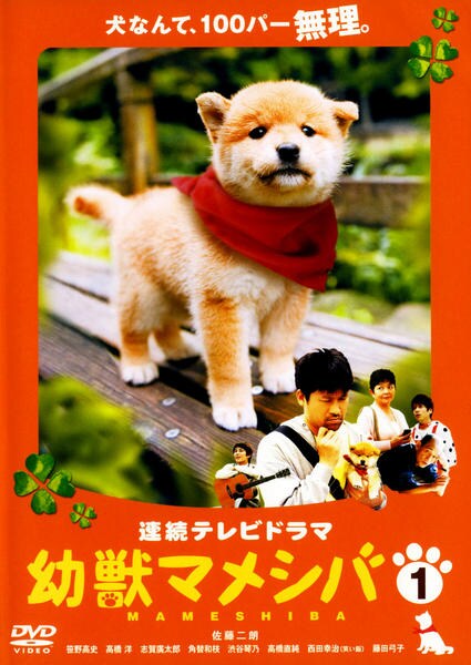 DVD「連続テレビドラマ 幼獣マメシバ VOL．1」作品詳細 - GEO