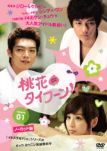 台湾ドラマDVD「桃花タイフーン！」&「花ざかりの君たちへ」 DVD「桃花タイフーン！！ 1」作品詳細 - GEO Online/ゲオオンライン