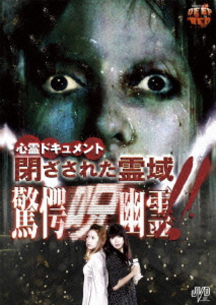DVD「心霊ドキュメント 閉ざされた霊域 驚愕呪幽霊！！」作品詳細
