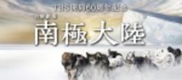 DVD「南極大陸 5巻」作品詳細 GEO Online/ゲオオンライン