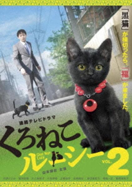 DVD「連続テレビドラマ くろねこルーシーVol．2」作品詳細 - GEO