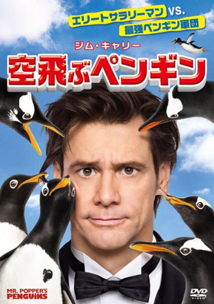 DVD「空飛ぶペンギン」作品詳細 - GEO Online/ゲオオンライン