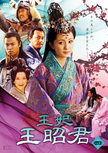 訳あり】王妃 王昭君(10枚セット)第1話～第31話 最終 ※ディスクのみ