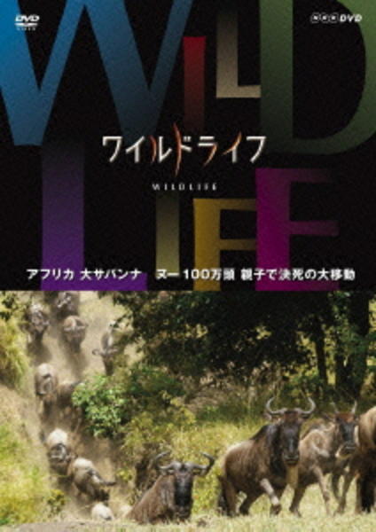 DVD「ワイルドライフ アフリカ大サバンナ ヌー100万頭 親子で決死の