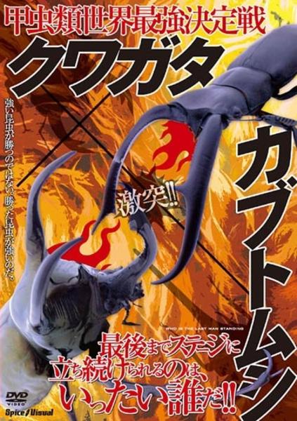 DVD「甲虫類世界最強決定戦 クワガタ×カブトムシ」作品詳細 - GEO
