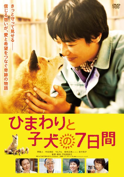 DVD「ひまわりと子犬の7日間」作品詳細 - GEO Online/ゲオオンライン