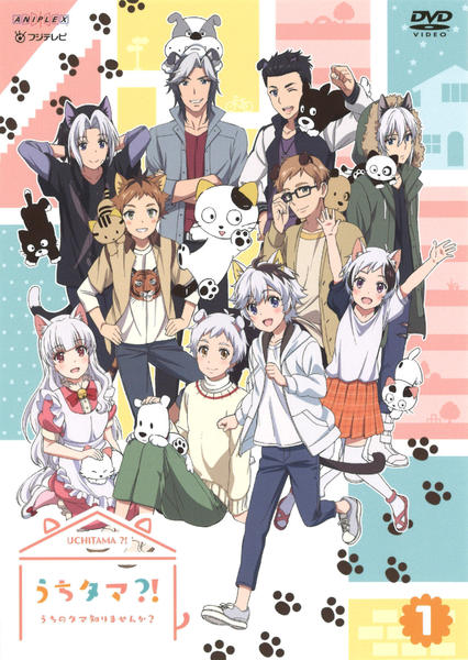 DVD「うちタマ？！ ～うちのタマ知りませんか？～ 1」作品詳細 - GEO Online/ゲオオンライン