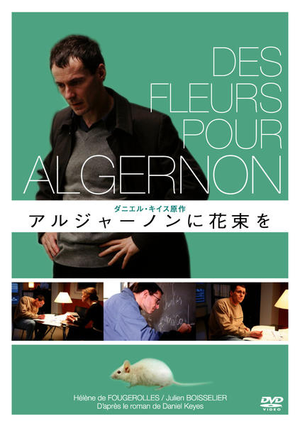 アルジャーニンに花束を DVD セット Vol 1-6 Amazon.co.jp: アルジャーノンに花束を ユースケ サンタマリア DVD全巻